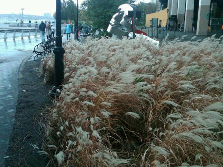 IMG00234-20121029-1042